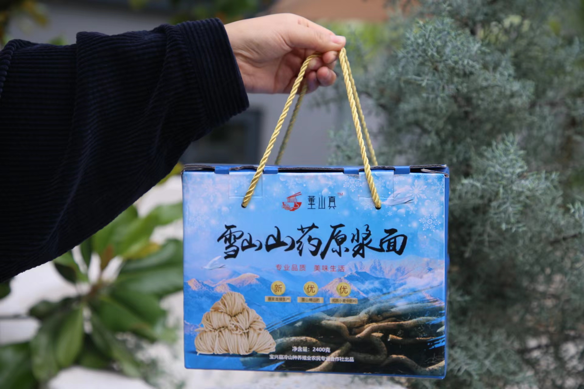 雪山山药原浆面