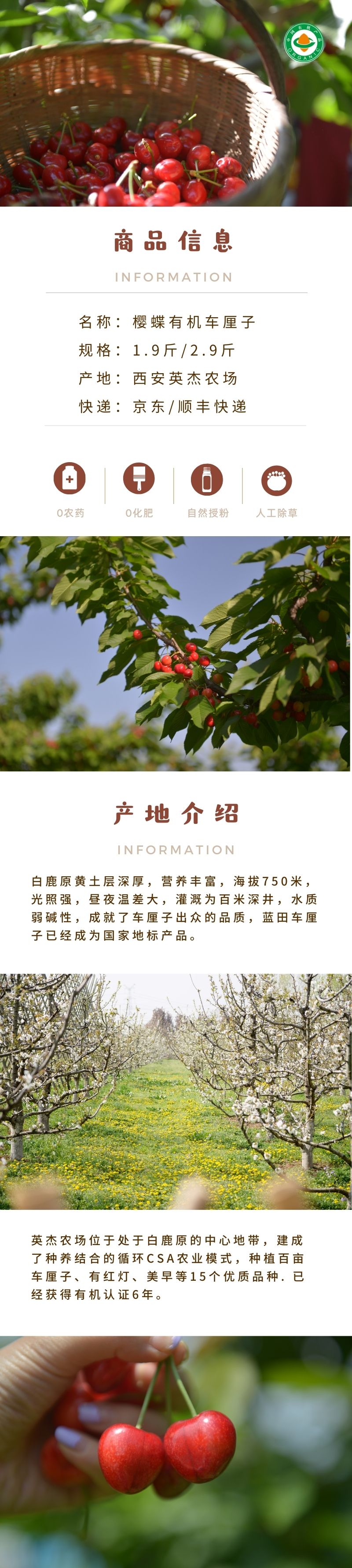 英杰农场2024年有机樱桃2.9斤  原价218  预定价173
