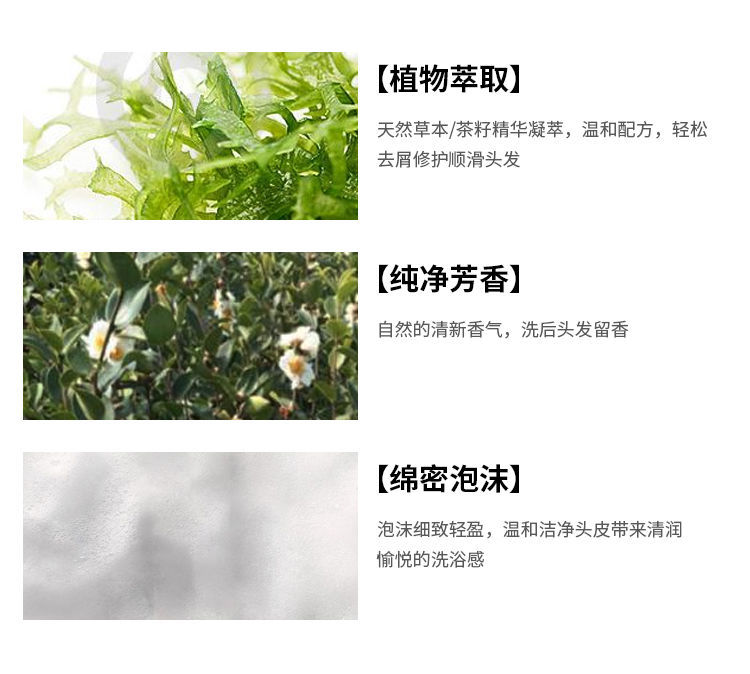 姿美莲茶籽洗发护发保湿柔顺洗发水弱酸性配方滋养修护柔顺亮泽