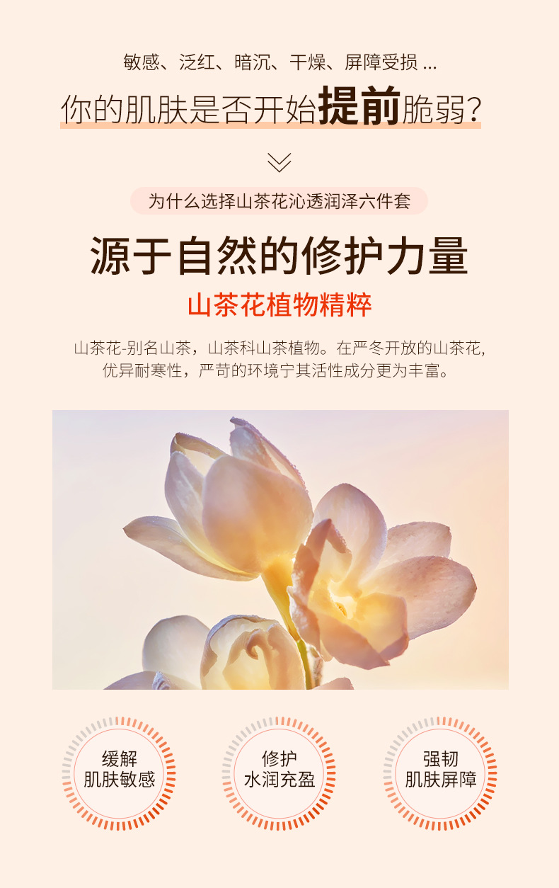丽素丽速lesuleso山茶花沁透润泽精华水油干皮补水抗衰老保湿