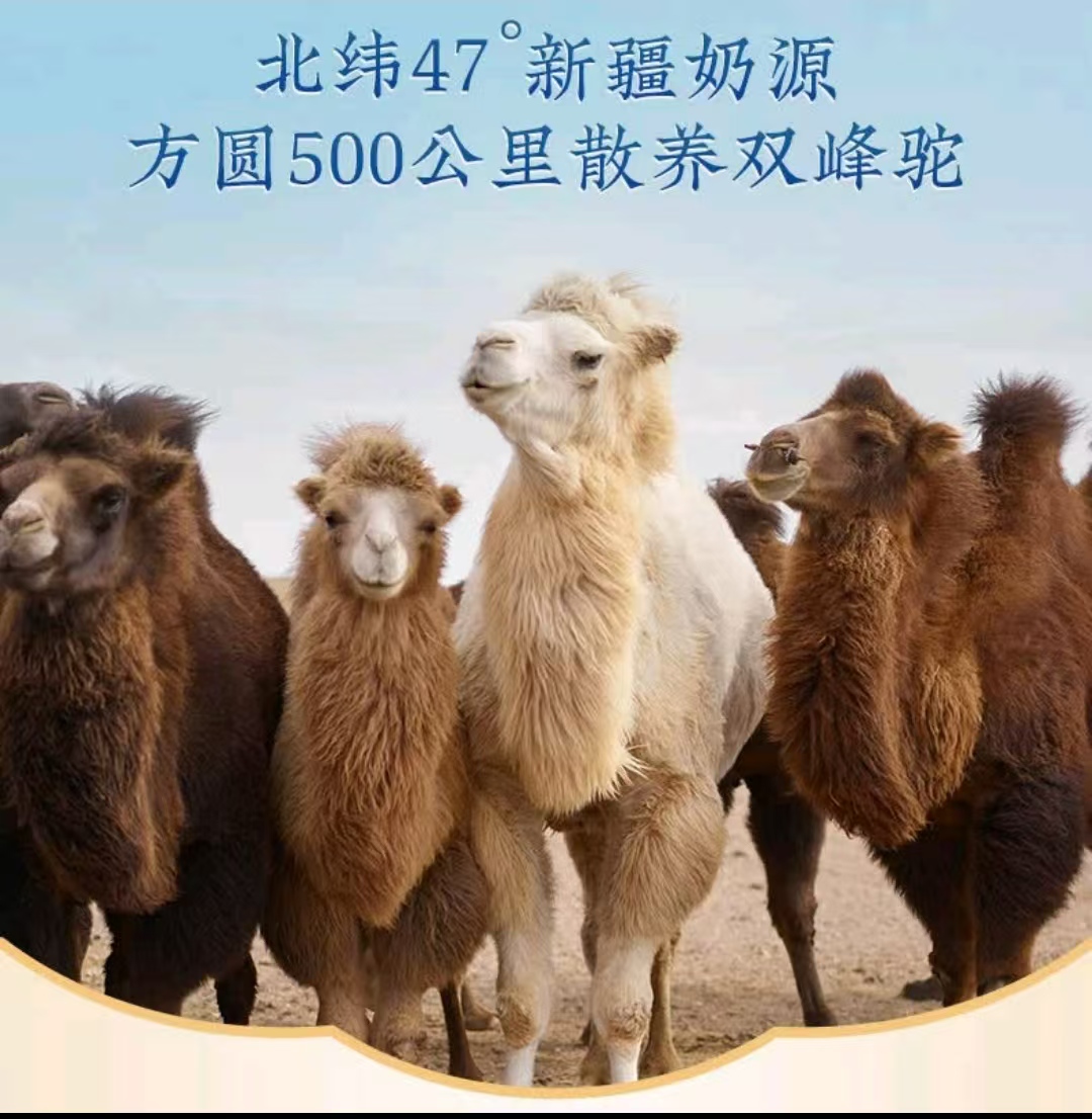 依巴特有机纯骆驼乳粉320g