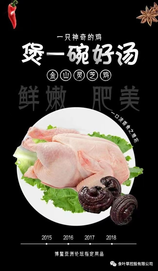 金山灵芝鸡