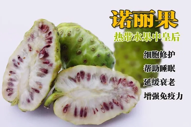 诺丽果酵素