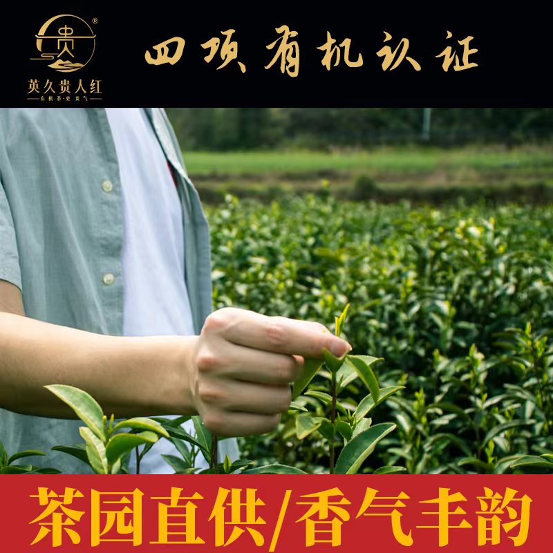 4项有机红茶2合礼包