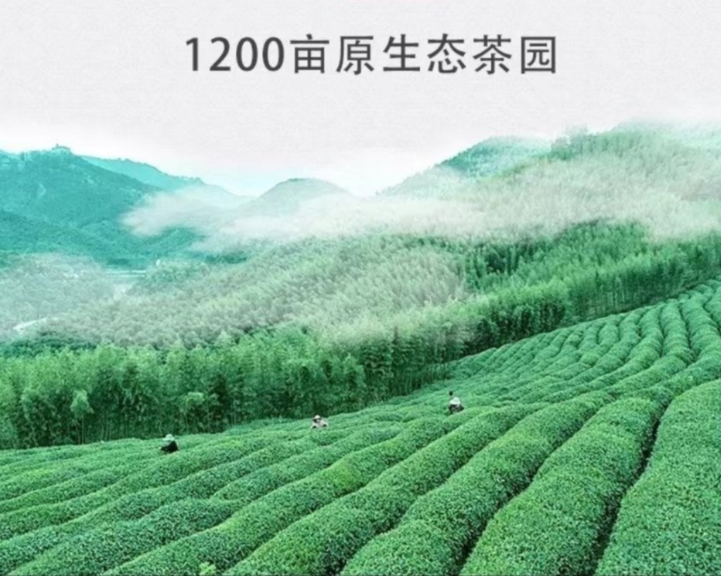 4项有机红茶1合