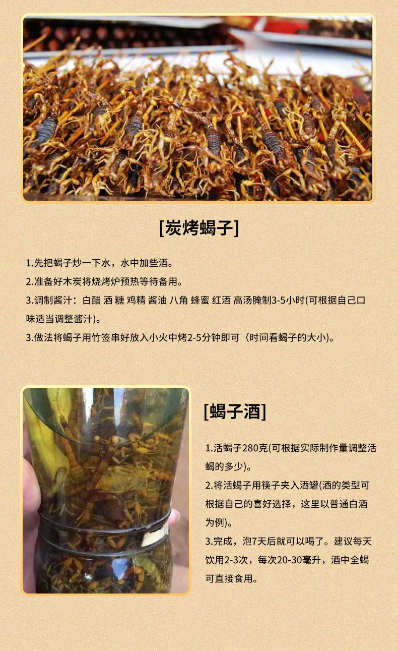 野外沂蒙山蝎子活体正宗野性十足全蝎煲汤入药油炸泡酒可食用药用