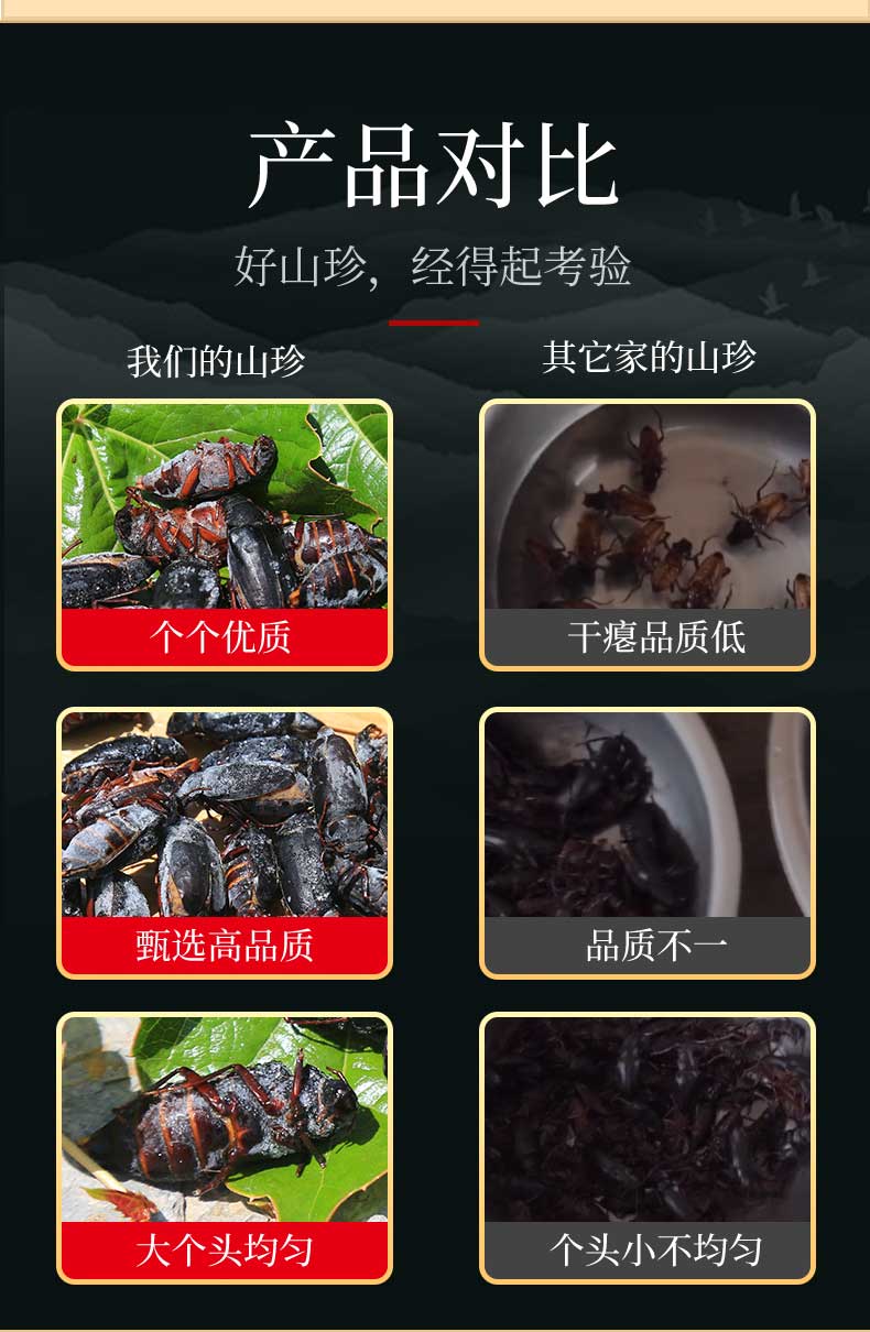 山水牛食用美味昆虫山虫牛山山牛水牛子生肉公母新鲜冷冻美食