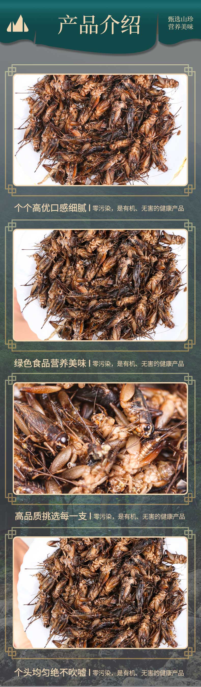 蛐蛐蟋蟀蚰葫芦新鲜速冻饱满蟋蟀可油炸优质产品美食钓鱼鸟食顺丰