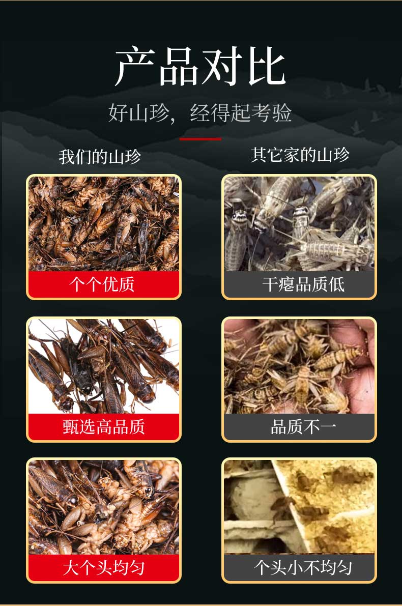 蛐蛐蟋蟀蚰葫芦新鲜速冻饱满蟋蟀可油炸优质产品美食钓鱼鸟食顺丰