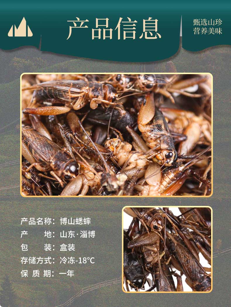 蛐蛐蟋蟀蚰葫芦新鲜速冻饱满蟋蟀可油炸优质产品美食钓鱼鸟食顺丰