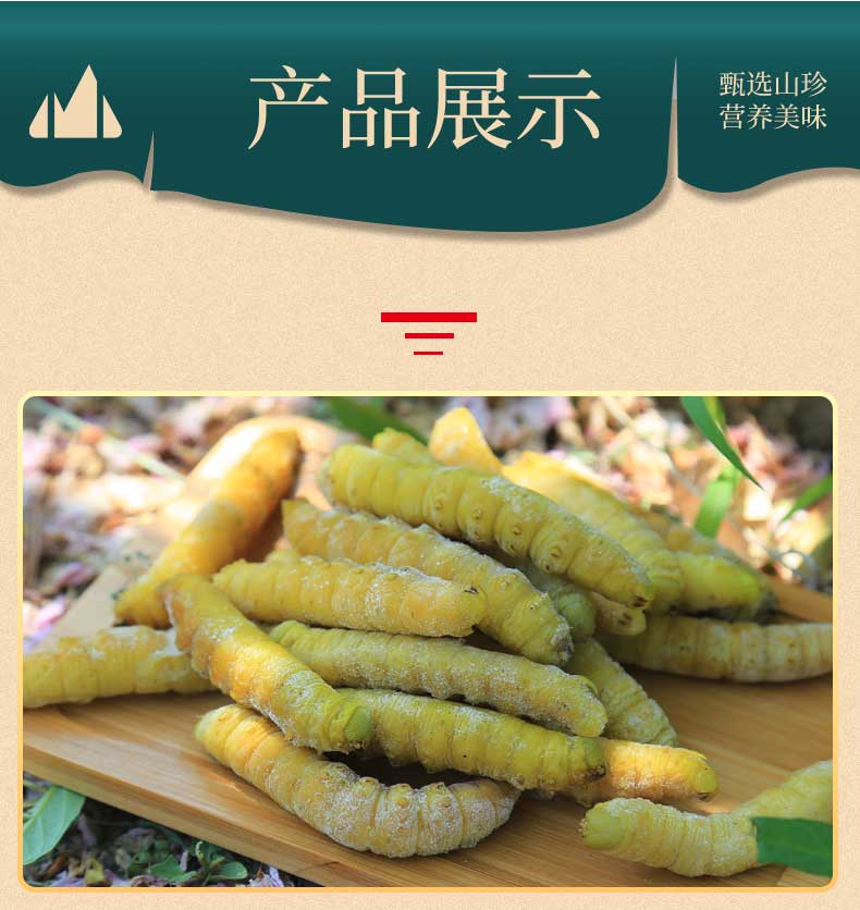 山东特产入地豆虫鲜活速冻新鲜高蛋白可食用豆丹豆青虫顺丰包邮