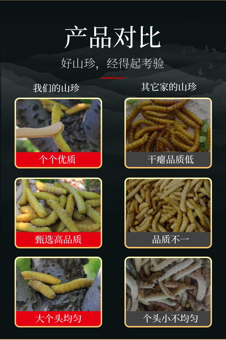 山东特产入地豆虫鲜活速冻新鲜高蛋白可食用豆丹豆青虫顺丰包邮