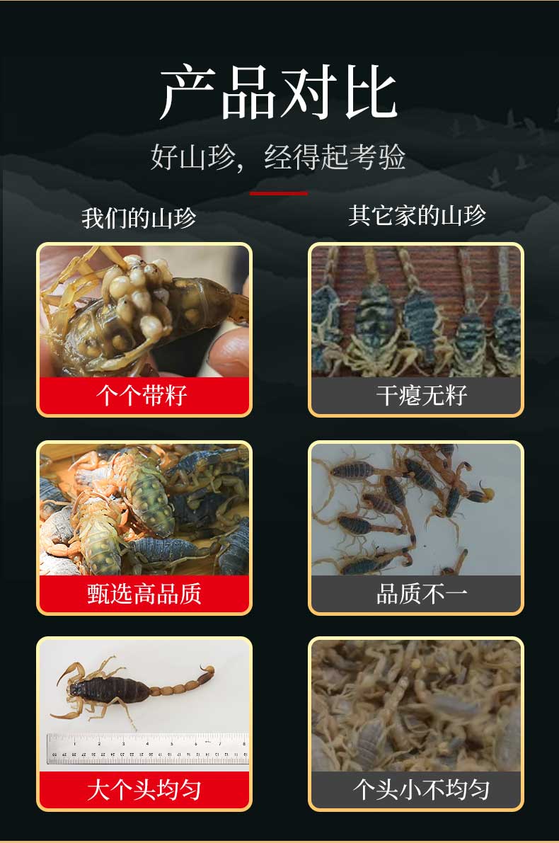 蝎子带籽正宗博山野性全蝎少有蝎子带籽煲汤入药油炸泡酒食用药用