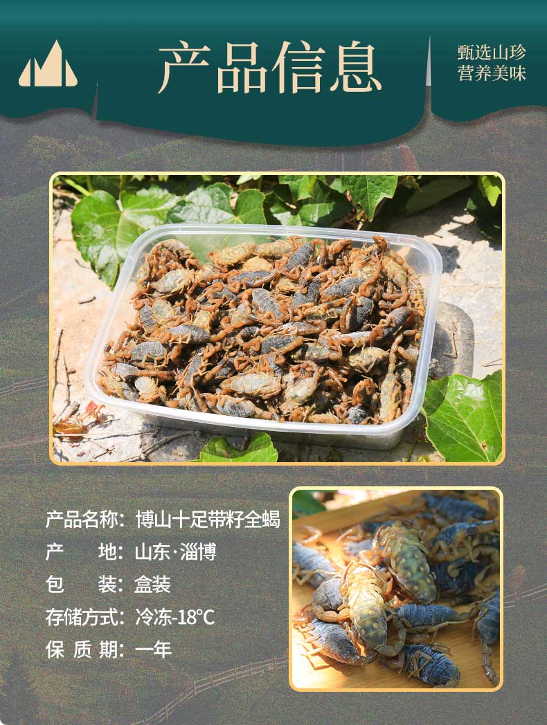 蝎子带籽正宗博山野性全蝎少有蝎子带籽煲汤入药油炸泡酒食用药用