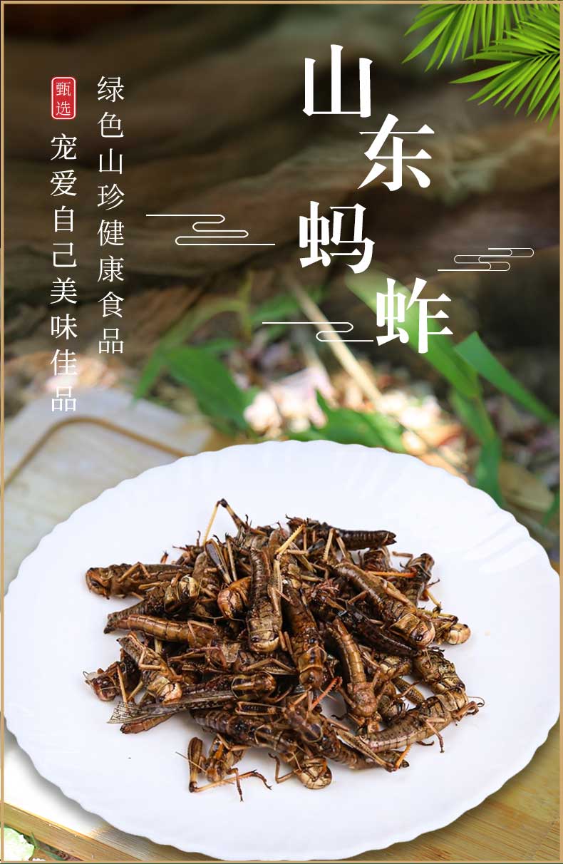 山东博山土蚱蜢飞蝗虫带籽新鲜活体速冻带籽全母可食用顺丰包邮