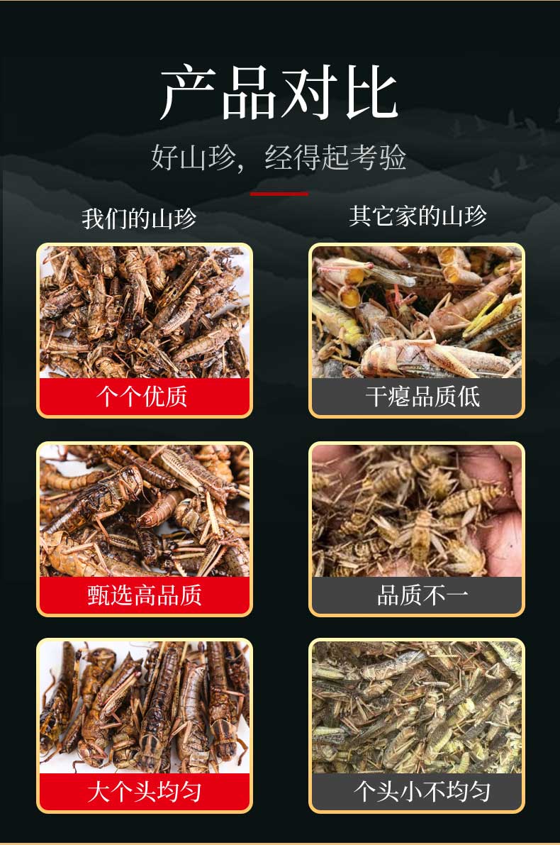 山东博山土蚱蜢飞蝗虫带籽新鲜活体速冻带籽全母可食用顺丰包邮