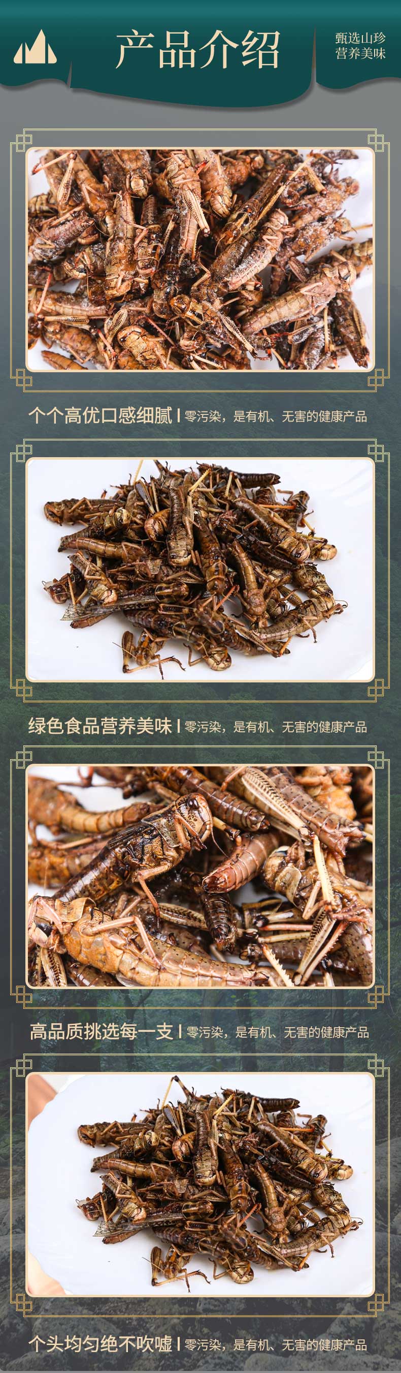 山东博山土蚱蜢飞蝗虫带籽新鲜活体速冻带籽全母可食用顺丰包邮