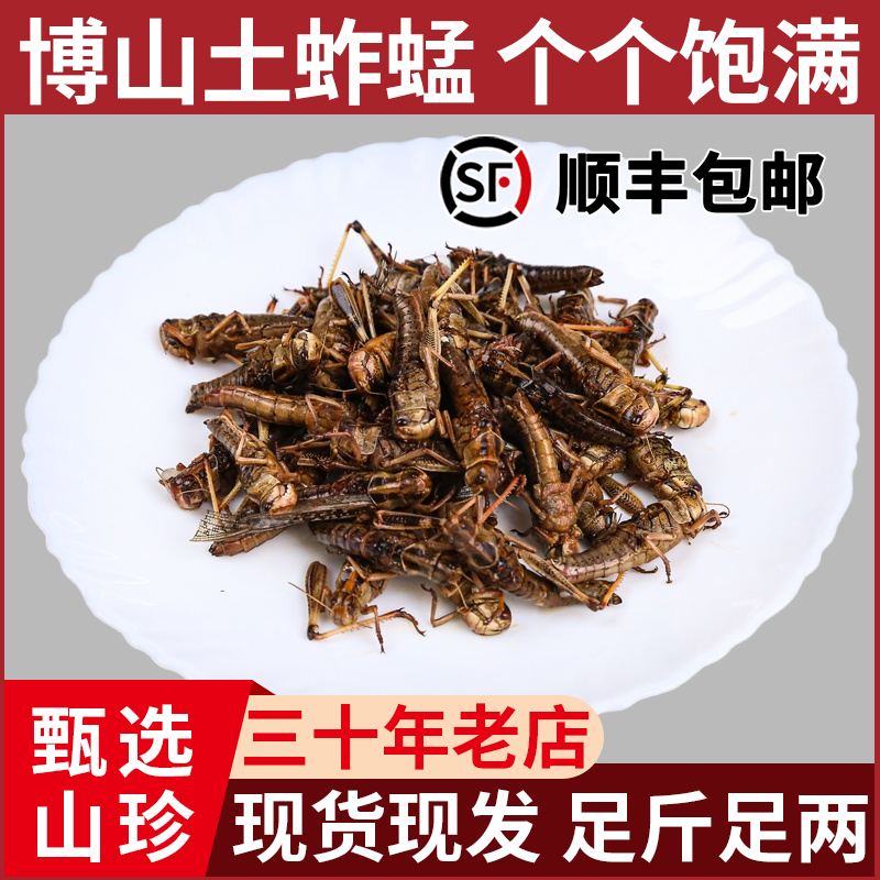 山东博山土蚱蜢飞蝗虫带籽新鲜活体速冻带籽全母可食用顺丰包邮