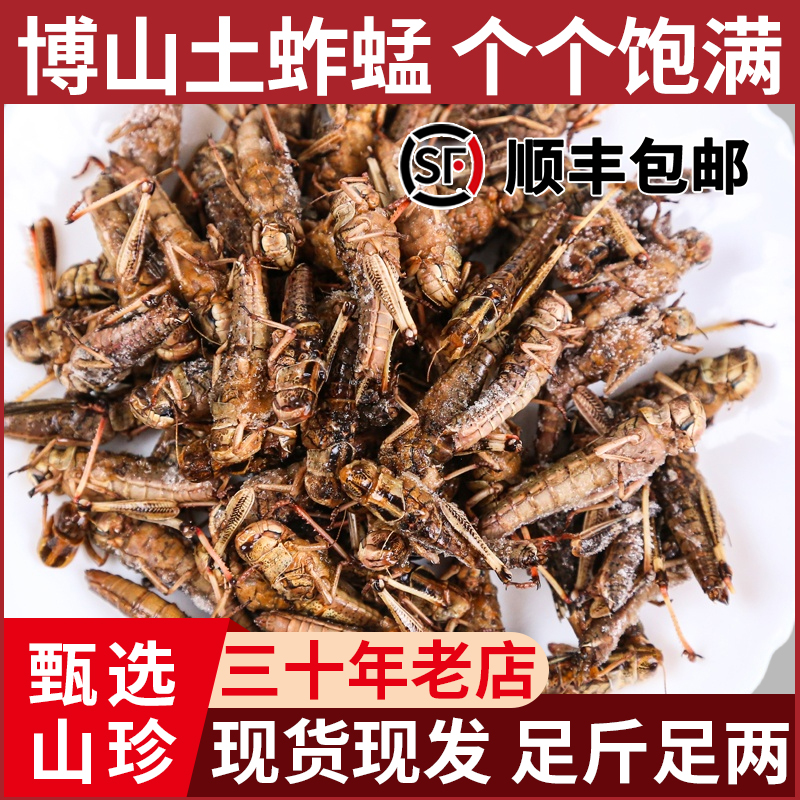 山东博山土蚱蜢飞蝗虫带籽新鲜活体速冻带籽全母可食用顺丰包邮