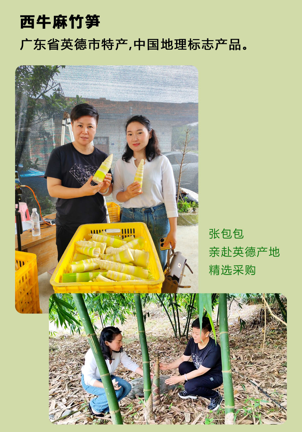 麻竹笋鲜肉包（满50元3公里内送货）