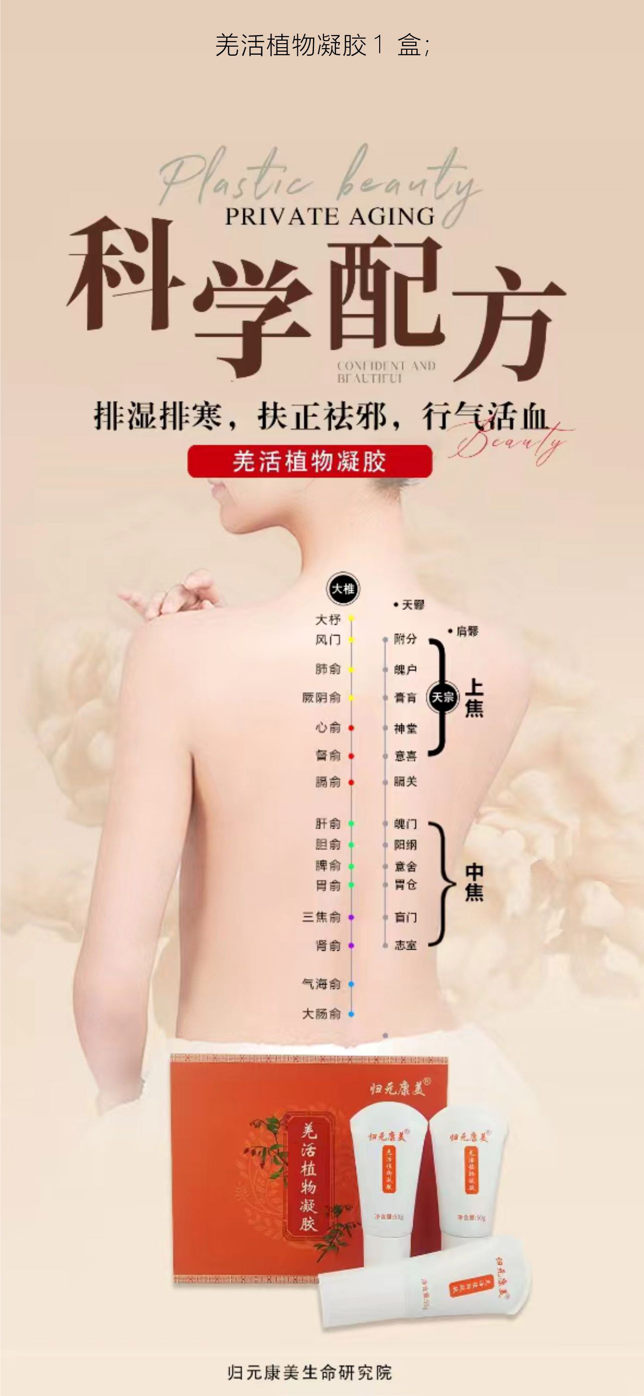 生活艺术家×羌活植物凝胶