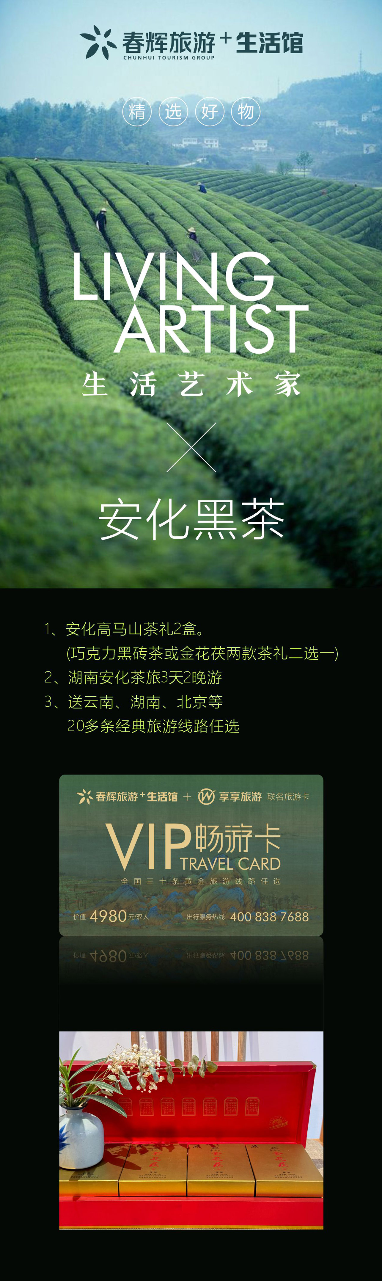 生活艺术家×安化黑茶