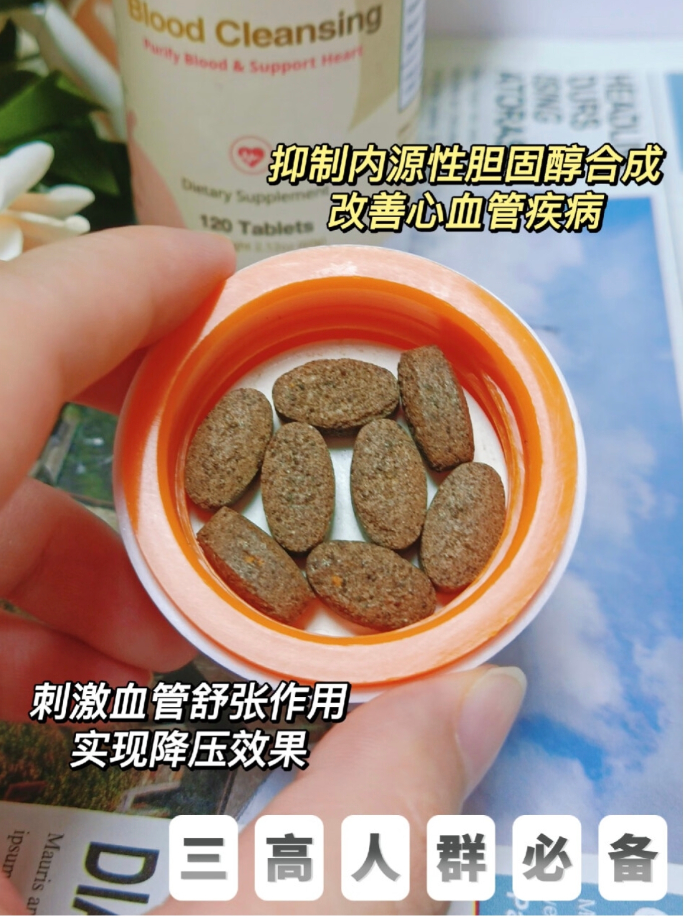 清血片.血管软黄金
