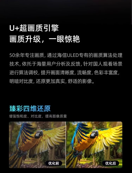 海信电视 75D3ND 75英寸120Hz疾速高刷 MEMC运动防抖 2+64GB 语音智控 U+画质引擎