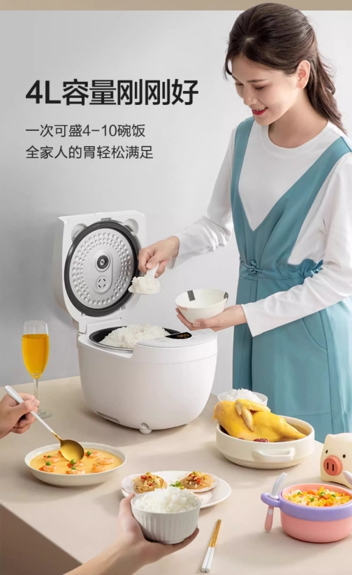 美的（Midea）电饭煲电饭锅家用4L智能预约匠铜聚能釜不粘内胆快速饭蒸煮米饭锅 4L MB-FB40E108