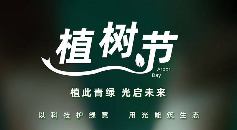 植树节，把希望种进时光里，共赴绿色之约