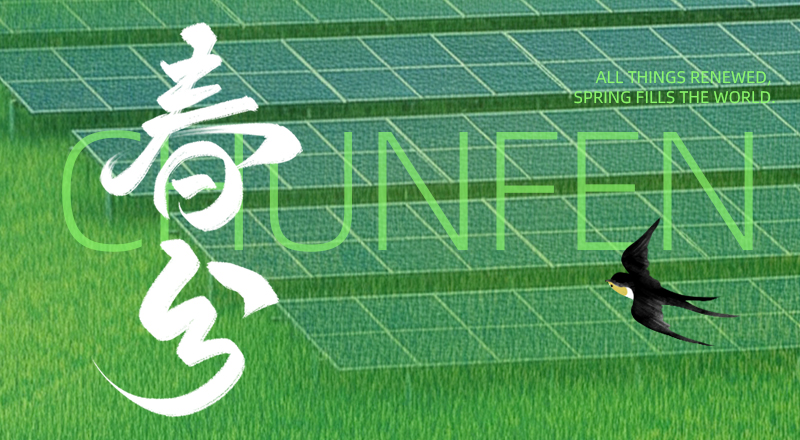 春分・仁江 | 万物向阳生长，光能奔赴前程