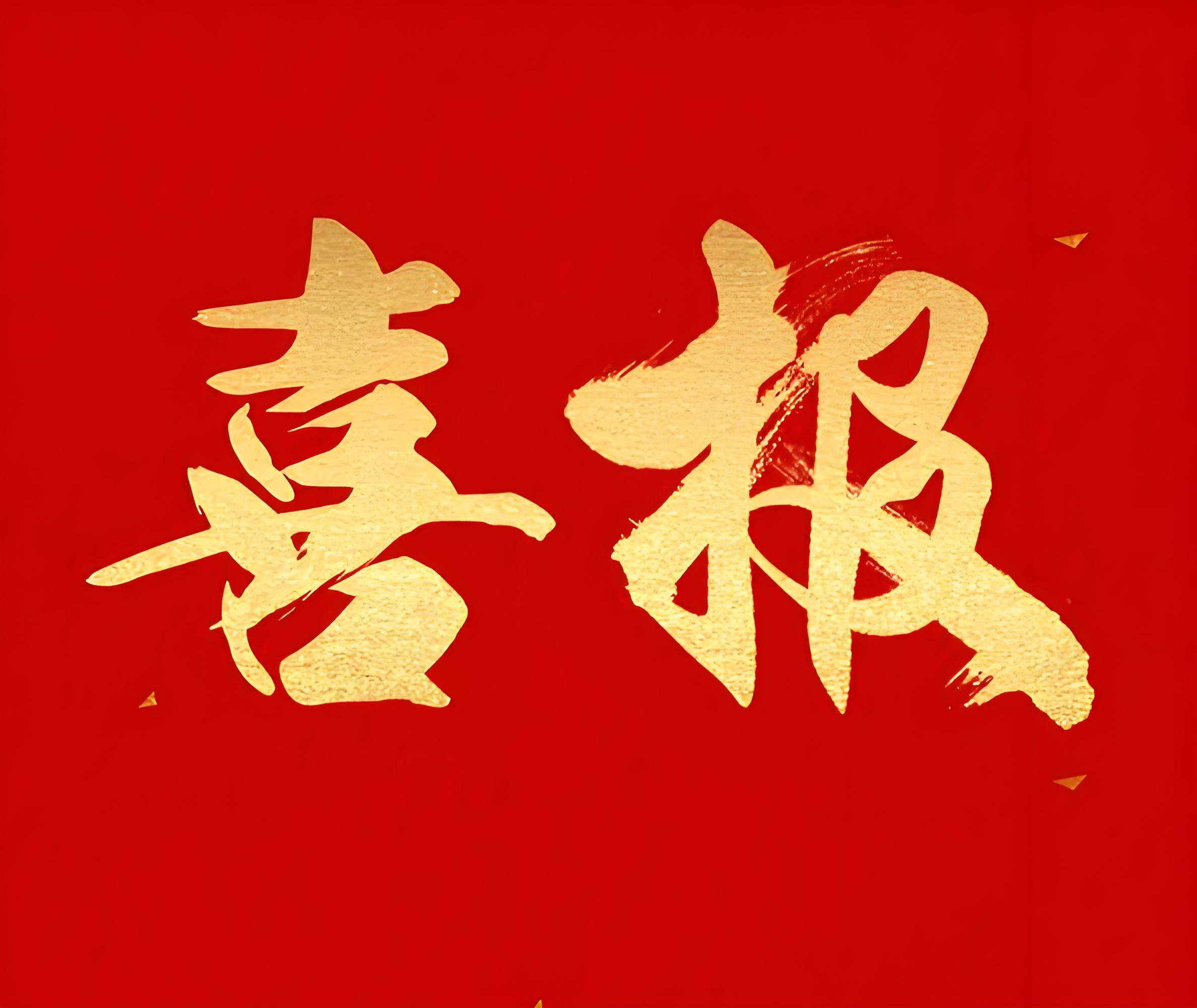 喜报 | 湖南顺新金属光储充项目今日顺利并网