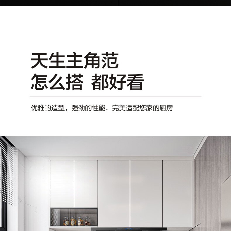支云吸油烟机 三腔变频立体环吸 顶侧双吸共同发力