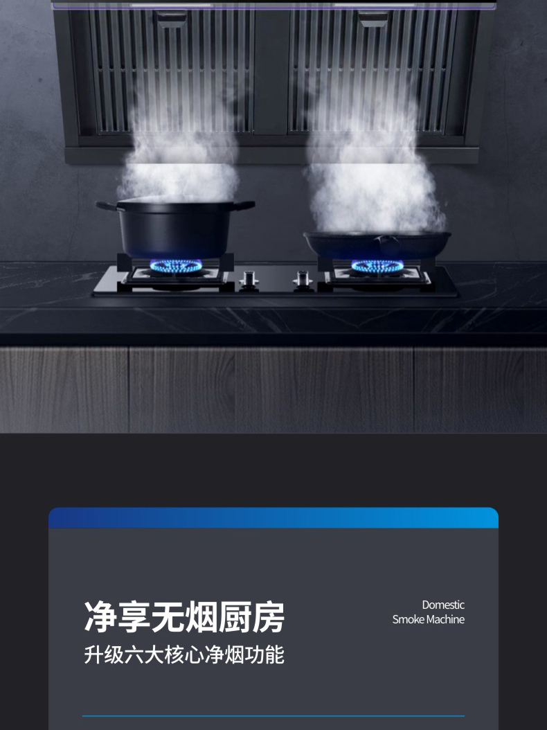 支云ZY1305侧吸式油烟分离油烟机家用厨房大吸力