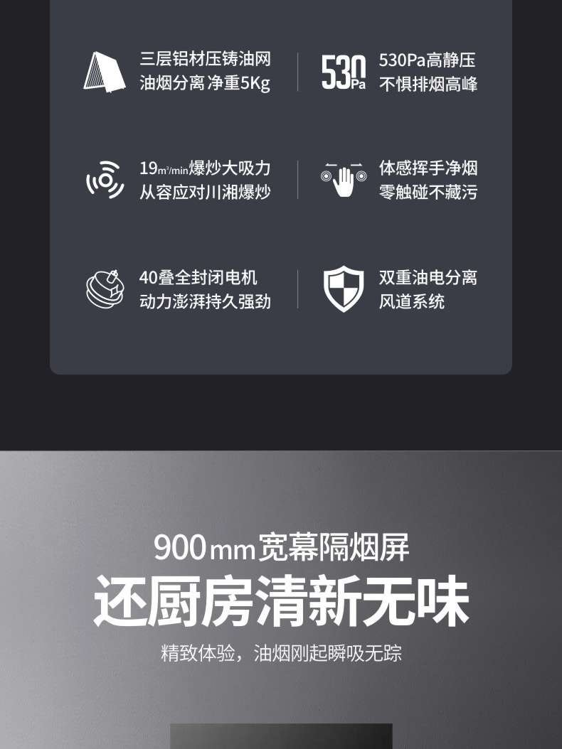 支云ZY1305侧吸式油烟分离油烟机家用厨房大吸力