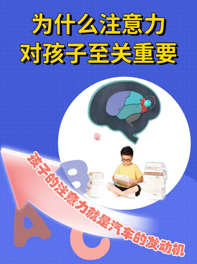 【学习能力提升】注意力训练体验课