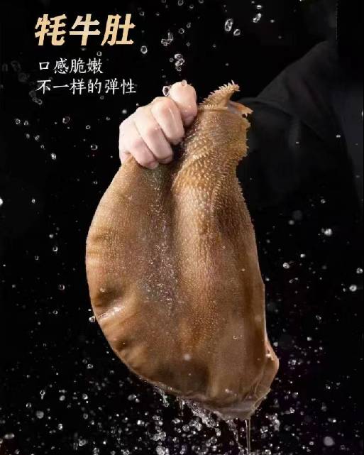 雪域牦牛肉礼盒