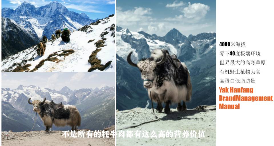 雪域牦牛肉礼盒