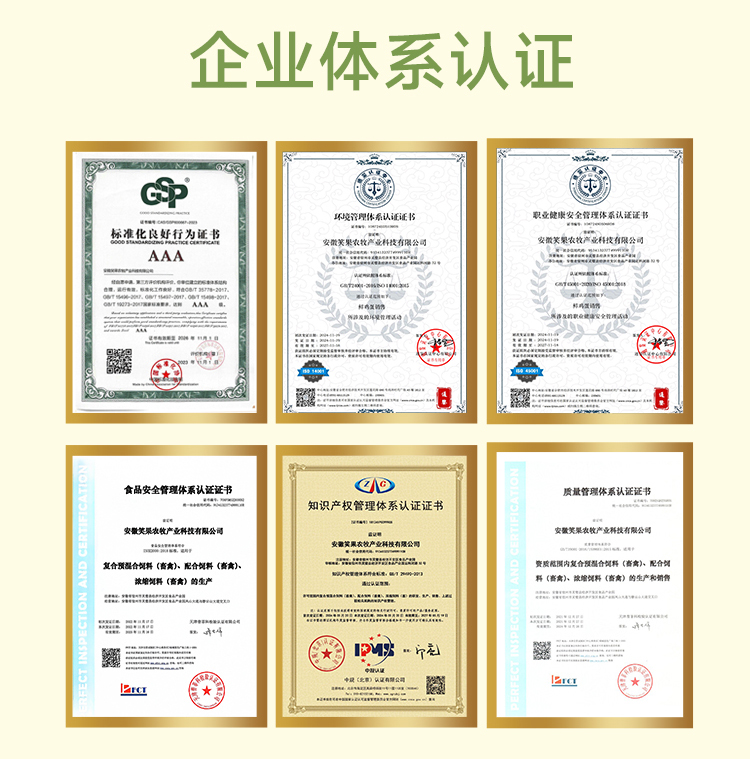 时光鸡蛋20枚.笑果蛋品