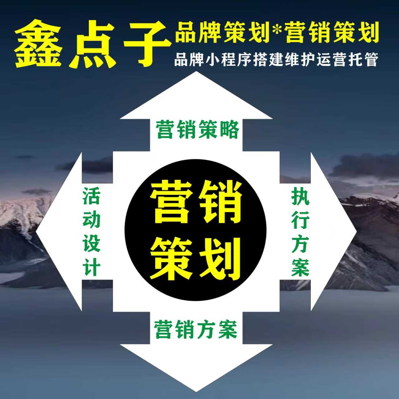 营销策划，营销方案，营销活动，营销执行标准等