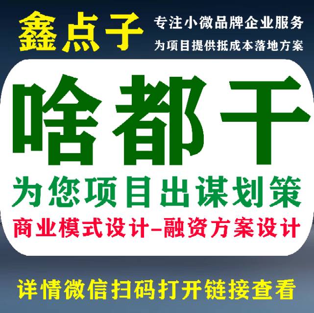 项目品牌策划/营销策划/项目平台搭建服务/商业模式设计/运营模式设计/招商模式设计/营销管理模式设计等