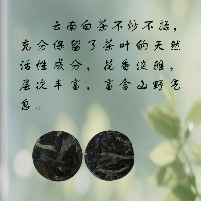 品鉴10克贤士白茶（醇香）