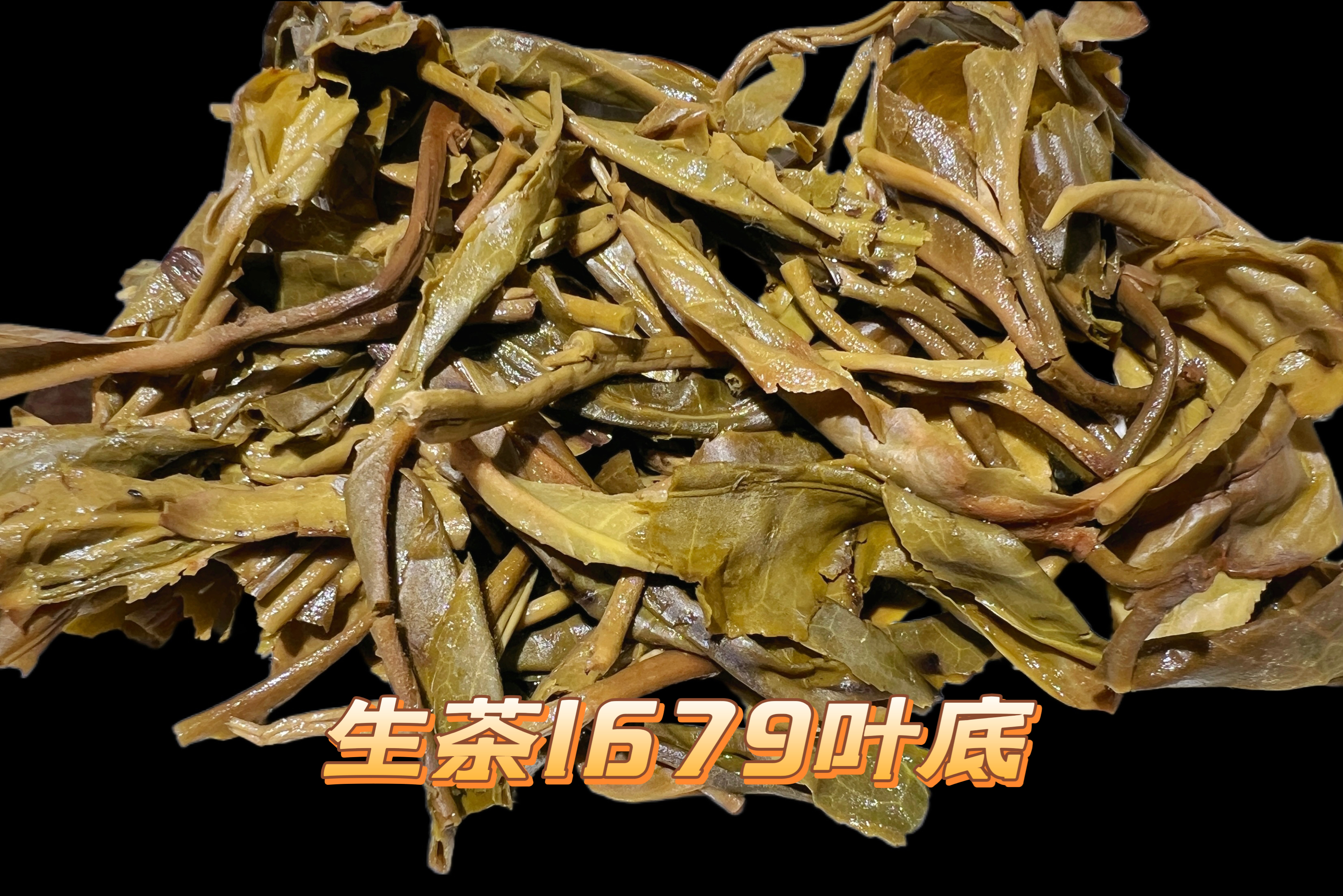 品鉴20克生茶1679（普洱生茶）