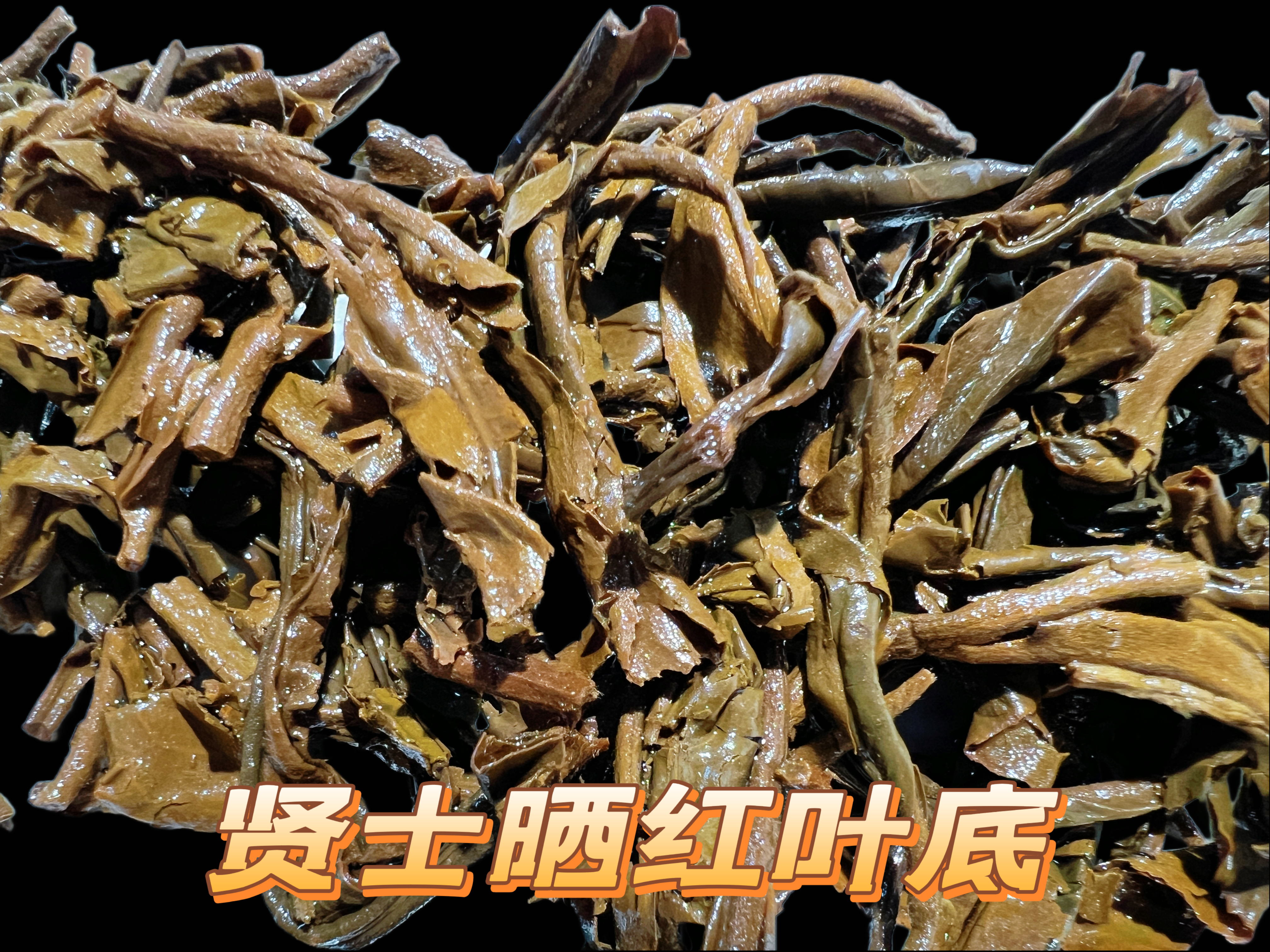 贤士晒红（甜香）红茶100克/罐