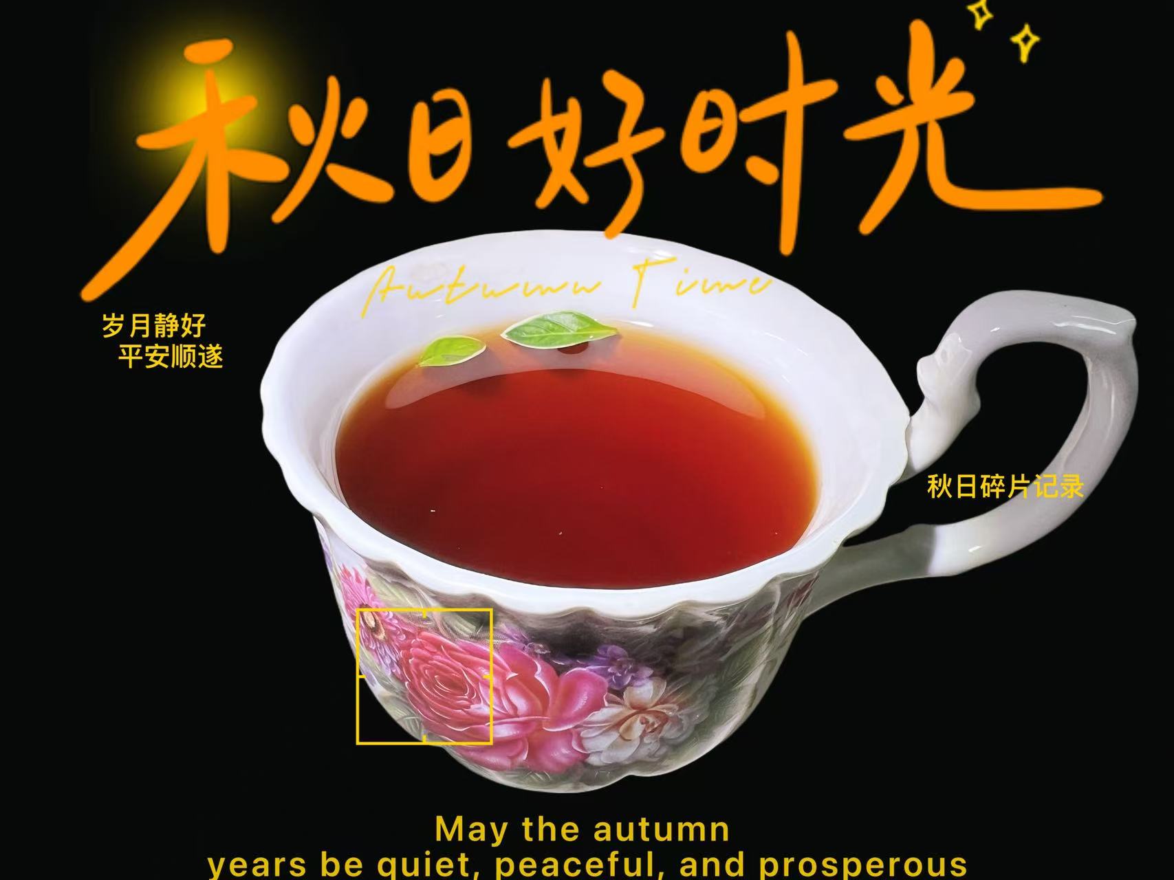 黑乌金（19醇香）普洱熟茶