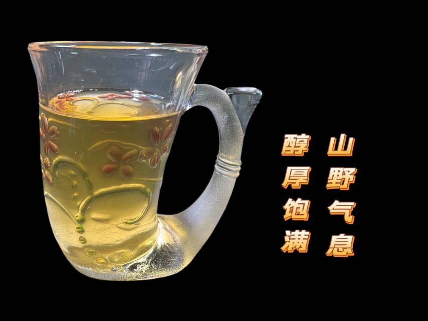 品鉴15克生茶1677