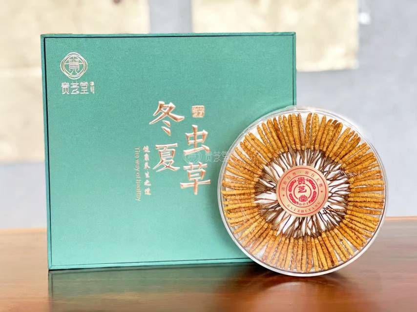 贵芝堂阴干虫草20克