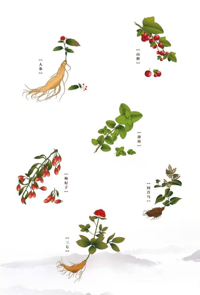 测试
