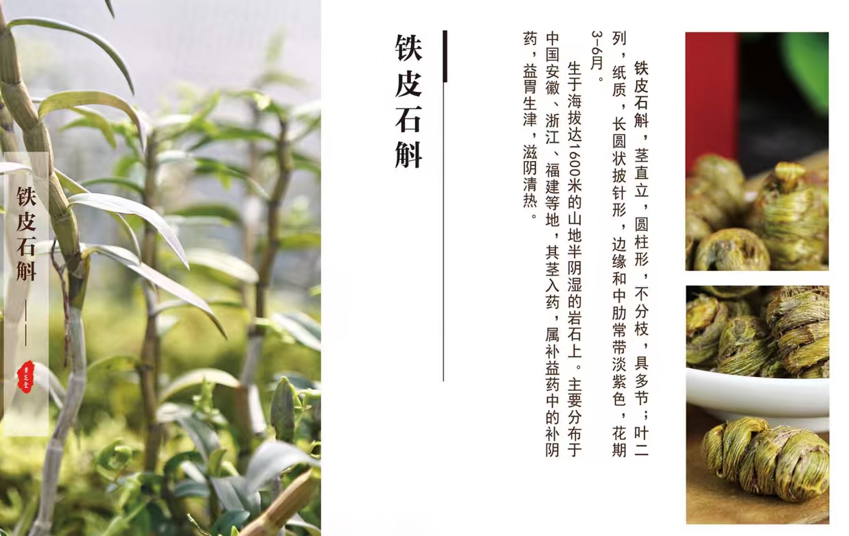 贵芝堂铁皮石斛300克