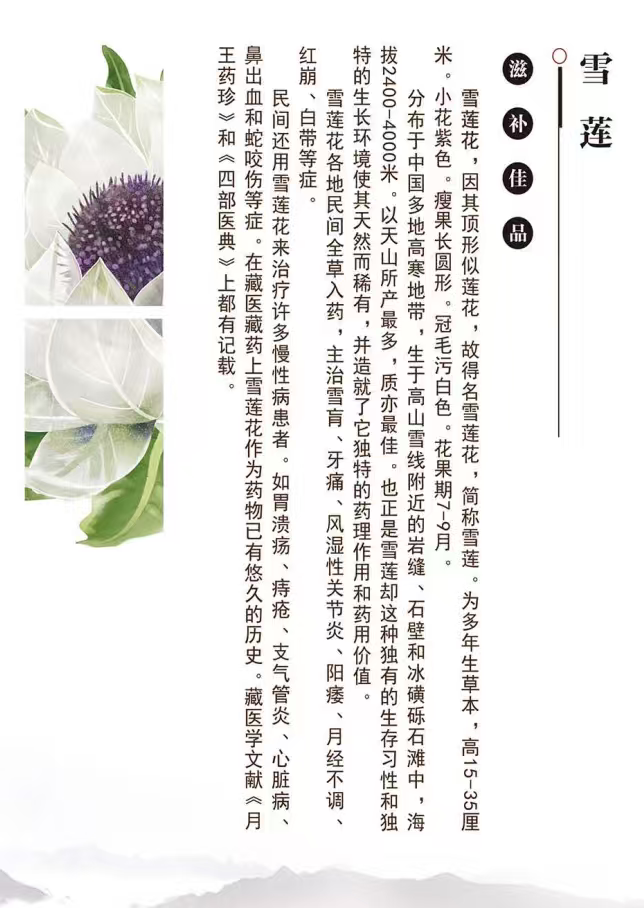贵芝堂雪莲浓缩液礼盒20ml*10支